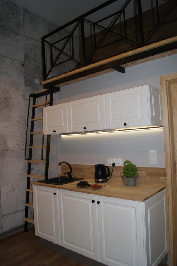 Mini Loft W Starym Browarze Leilighet *